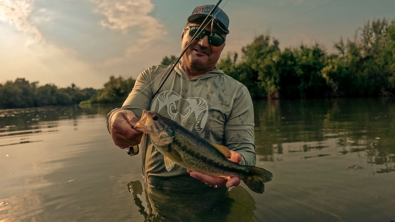 Nick Campos, NM -  image number 3