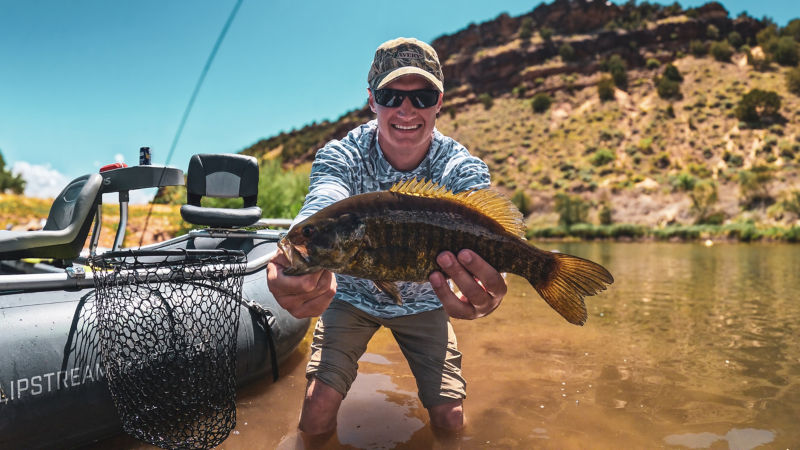 Nick Campos, NM -  image number 4