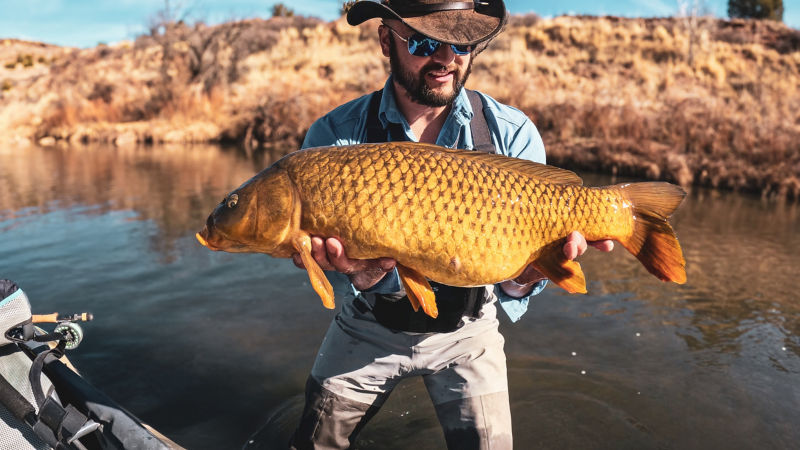 Nick Campos, NM -  image number 5