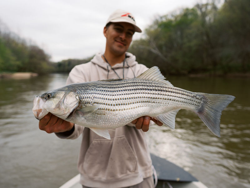 Zach Howell, NC -  image number 1