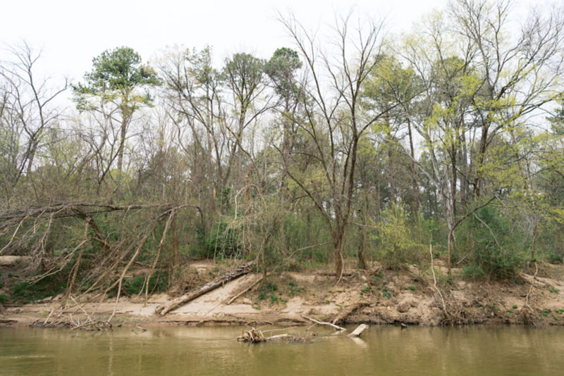 Zach Howell, NC -  image number 2