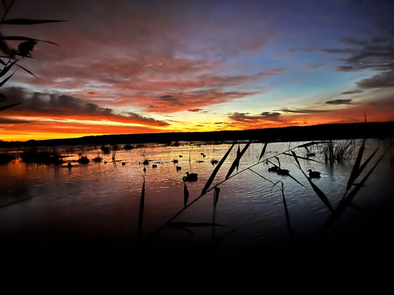 M&M Hunting & Sporting Clays, NJ - 