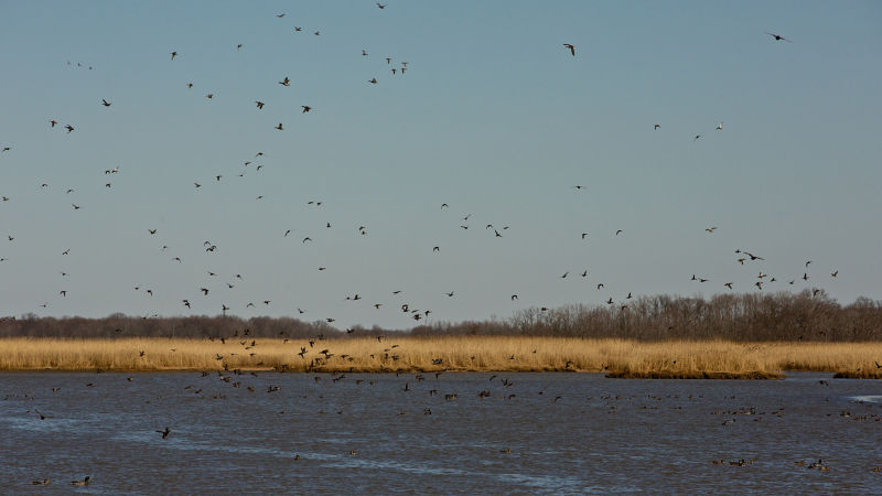 M&M Hunting & Sporting Clays, NJ -  image number 1