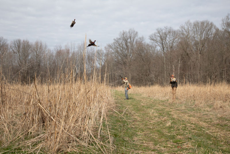 M&M Hunting & Sporting Clays, NJ -  image number 3