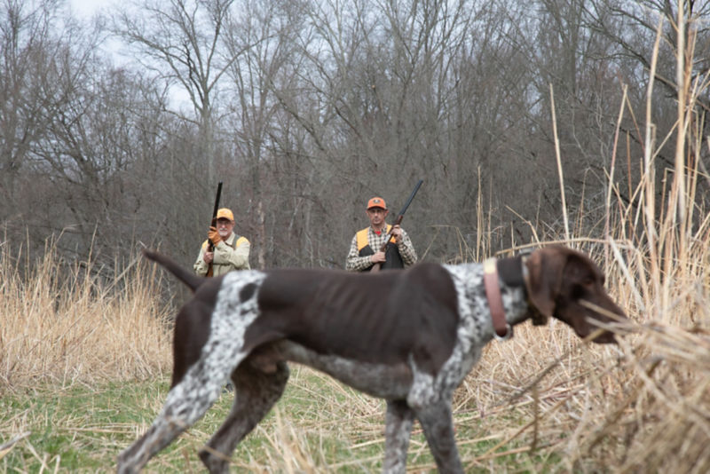 M&M Hunting & Sporting Clays, NJ -  image number 4