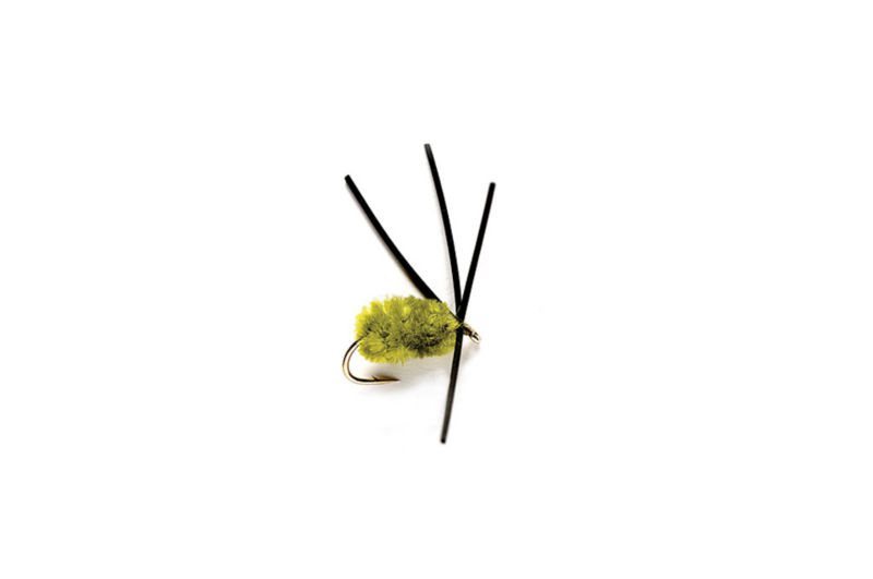 Bully Bluegill Spider - OLIVE