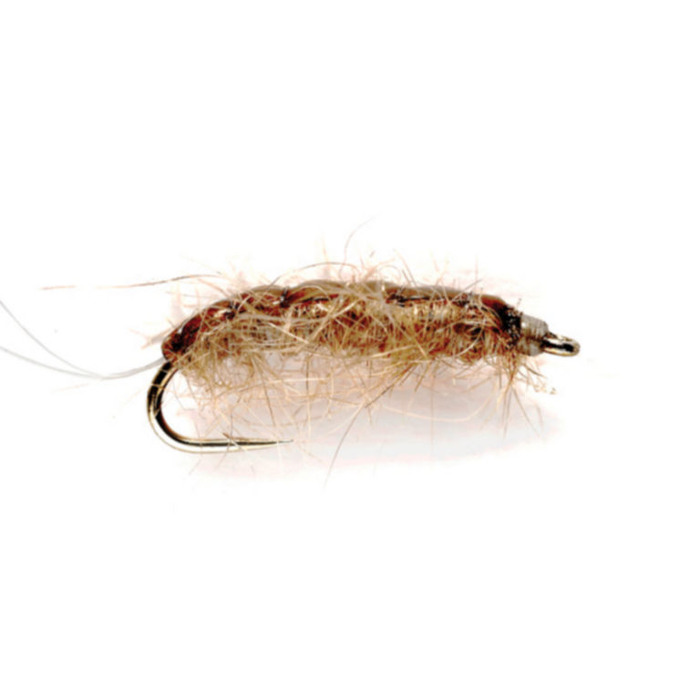 Rouse’s J-Dub Sow Bug -  image number 0