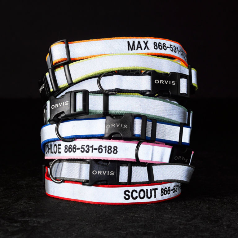 Personalized Reflective Collar -  image number 0