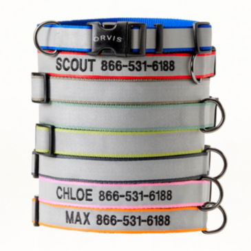 Personalized Reflective Collar