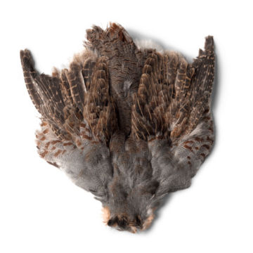 Hungarian Partridge Skins - image number 0