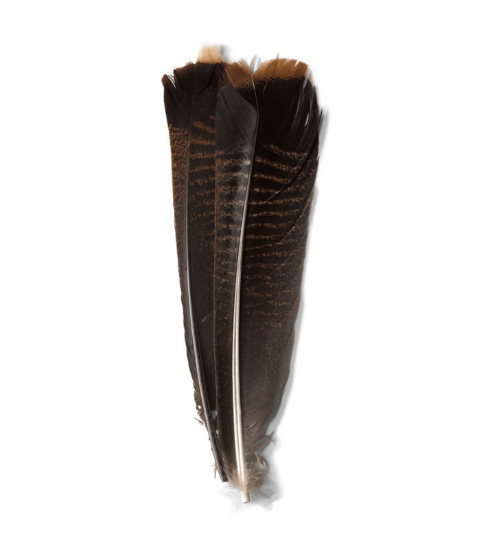 Mottled Turkey Feathers - DARK