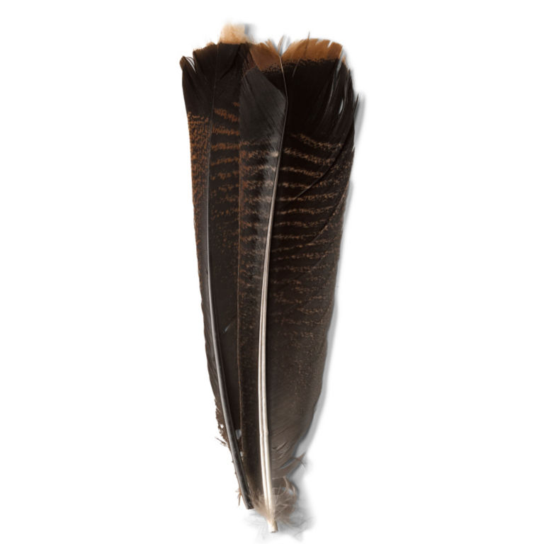 Mottled Turkey Feathers - DARK image number 0