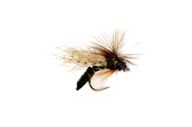 Spotlight Caddis Emerger - BLACK