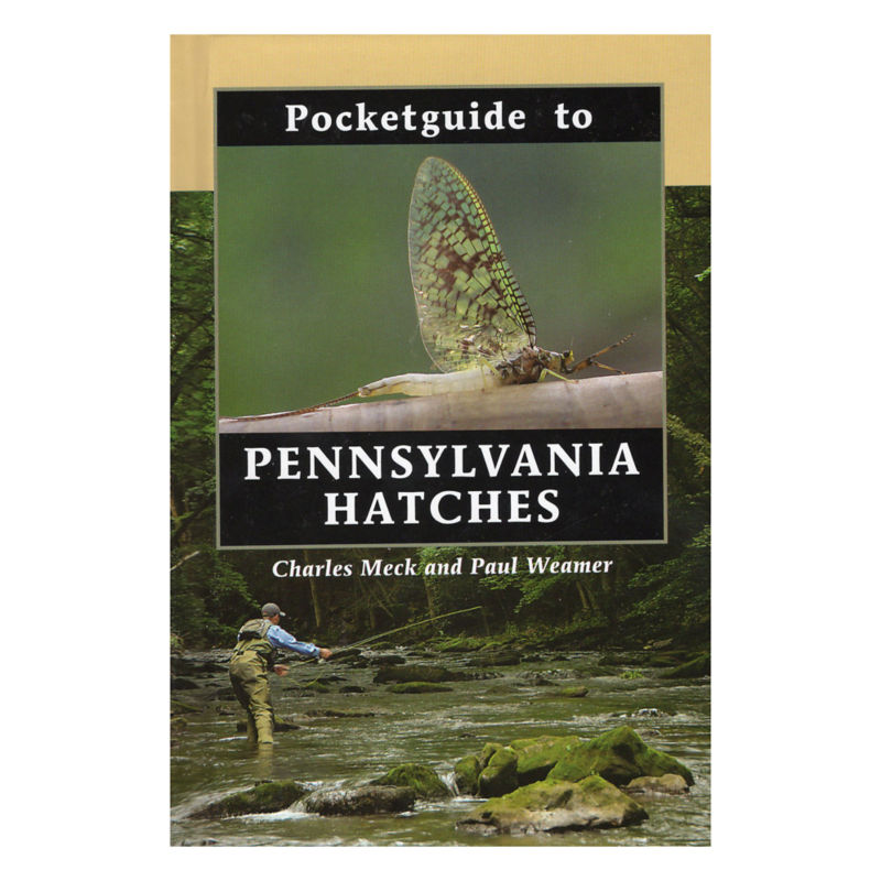 Keystone Fly Fishing: The Ultimate Guide to Pennsylvania's Best Waters [Book]