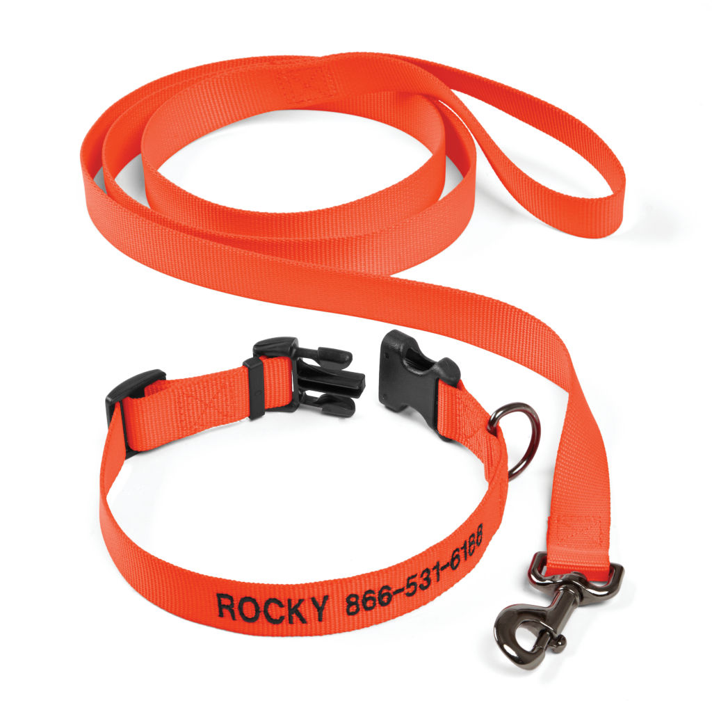 Personalized Adjustable Dog Collar with Leash - BLAZE ORANGE image number 0