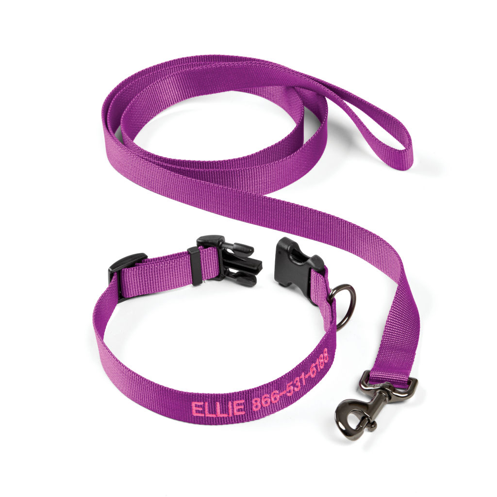 Personalized Adjustable Dog Collar with Leash - ORCHID image number 0