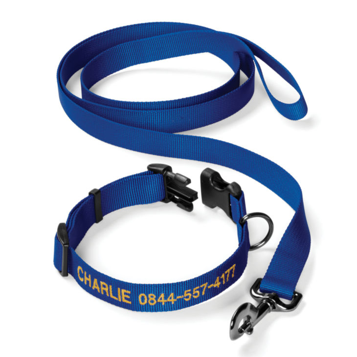 Personalized Adjustable Dog Collar with Leash - 