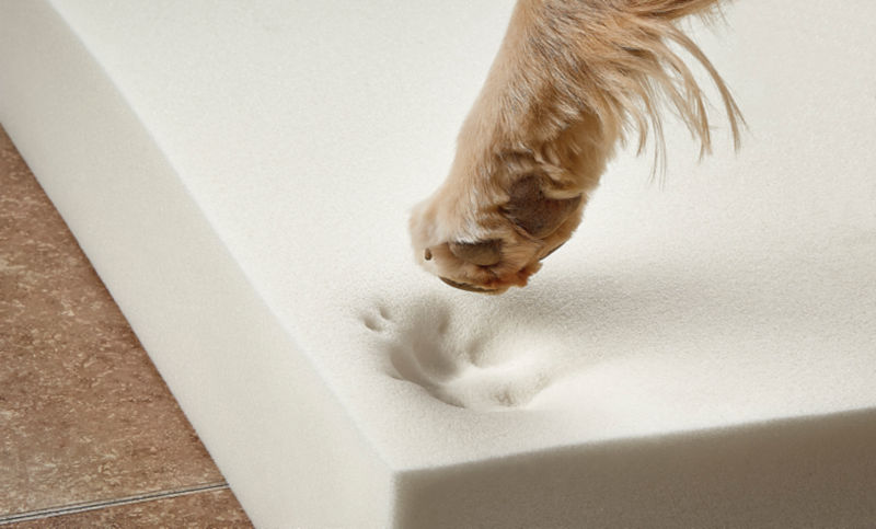A close up shot of memory foam after a dog pressed their paw into it