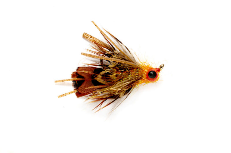 Year Of The Carp: Fly Selection 101 