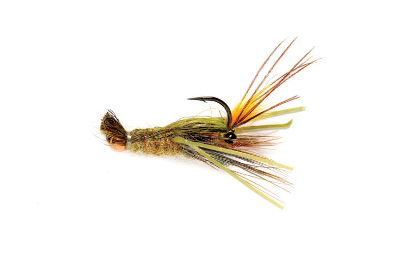 May&rsquo;s Clearwater Crayfish - 