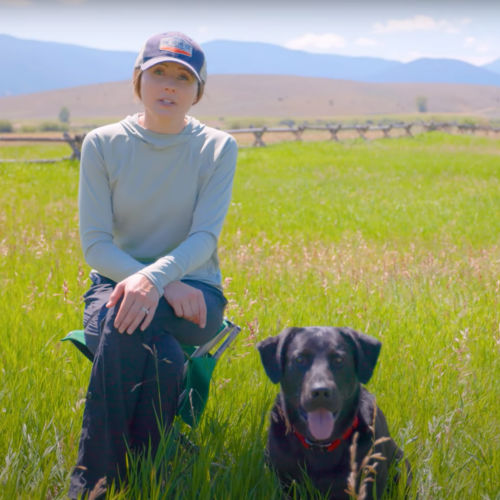 Dr. Madeline Fellin sits in a green field with a black Labrador Retriever