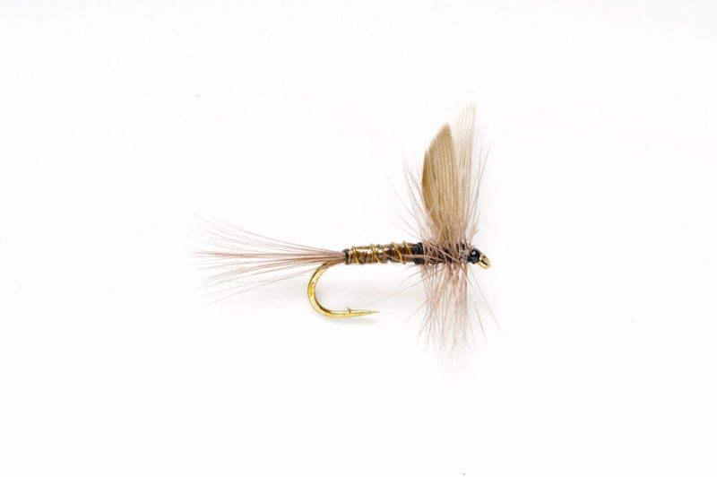 Blue Quill -  image number 0