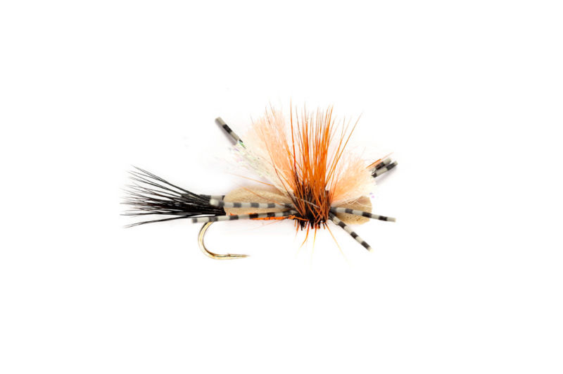 Holo Humpy - ORANGE image number 0