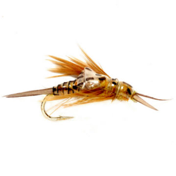 OE Stonefly Nymph - image number 0