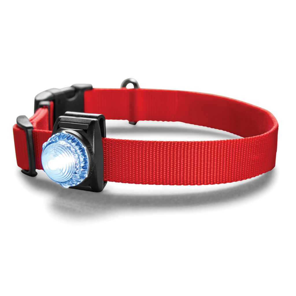 LED Safety Collar Light -  image number 0