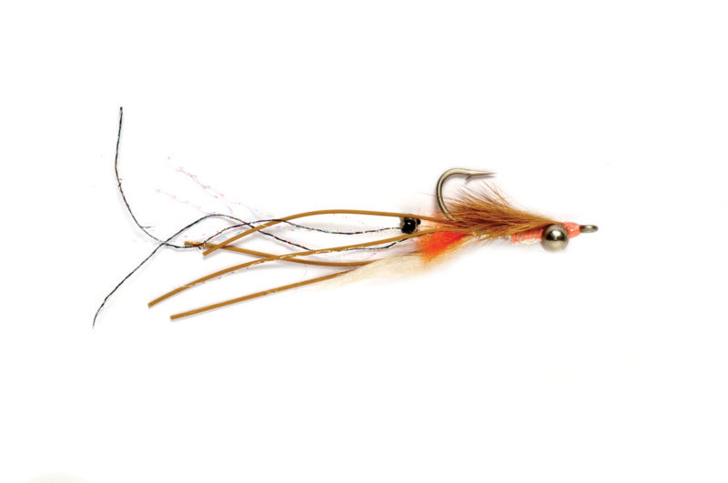 Peterson&rsquo;s Spawning Shrimp - 