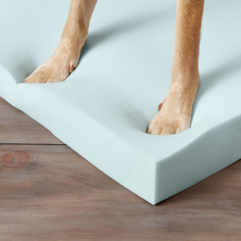 Big yellow dog paws sinking into soft blue Memory Foam.