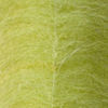 EP Foxy Brush 3" Wide - CHARTREUSE