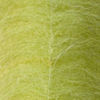 EP Foxy Brush 3" Wide - CHARTREUSE