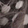 Guinea Feathers - NATURAL