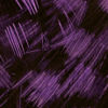 Guinea Feathers - PURPLE