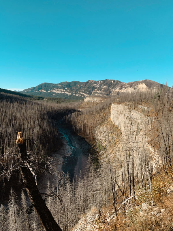 Spotted Bear Ranch, MT -  image number 3