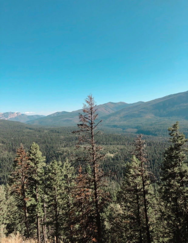 Spotted Bear Ranch, MT -  image number 4