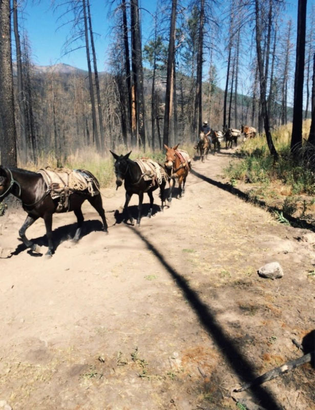 Spotted Bear Ranch, MT - 