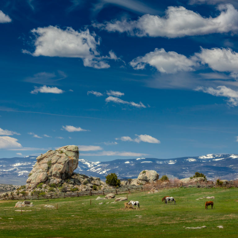 Brush Creek Ranch, WY -  image number 4