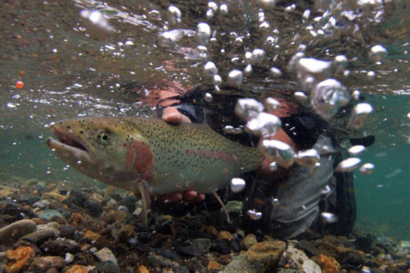 Intricate Bay Lodge, AK -  image number 5