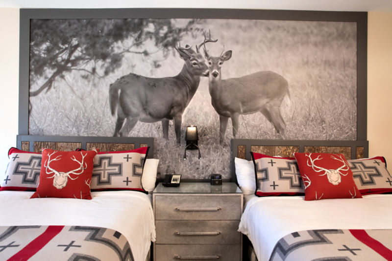 Chetola Resort At Blowing Rock, NC -  image number 4