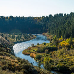 A scenic winding river lined with tall conifers.