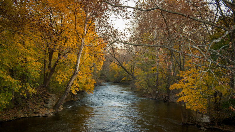 Allenberry Resort & Lodging -  image number 2