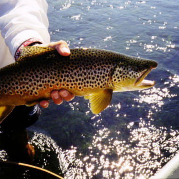 Orvis Week with PRO Outfitters - North Fork Crossing - 
