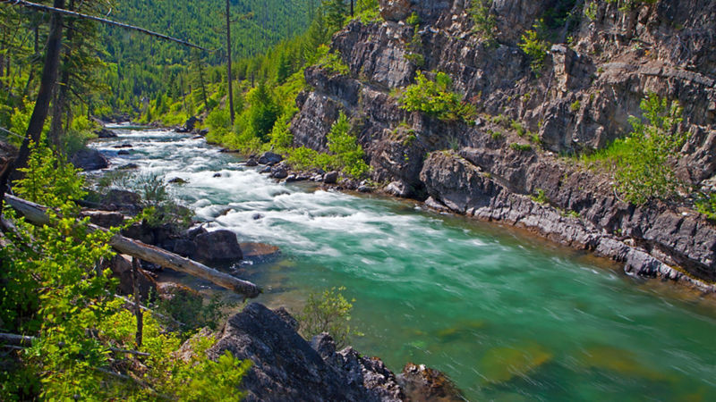 PRO Outfitters North Fork Crossing, MT -  image number 3