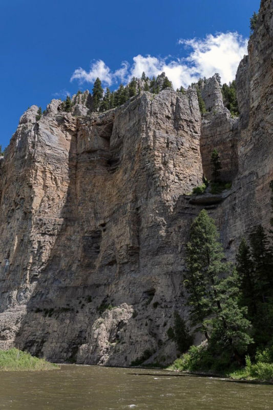 Smith River Float With PRO Outfitters -  image number 4