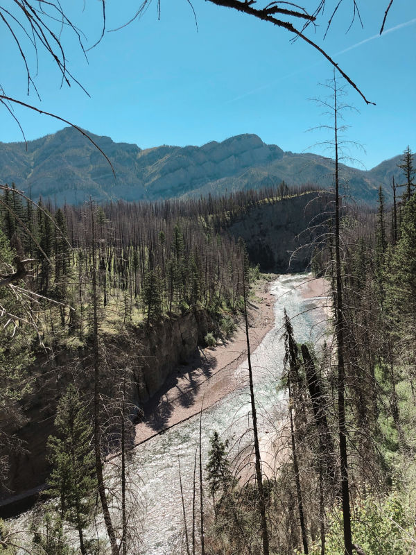 Spotted Bear Ranch, MT -  image number 1