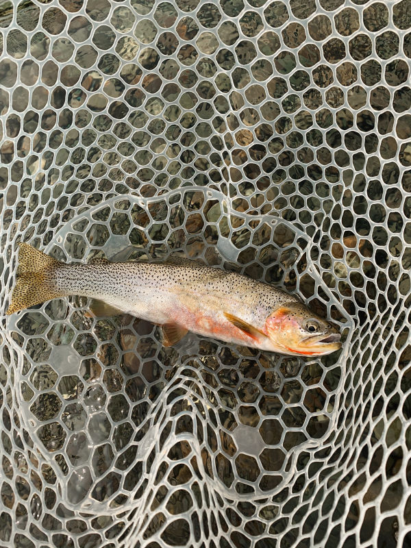 Spotted Bear Ranch, MT -  image number 2