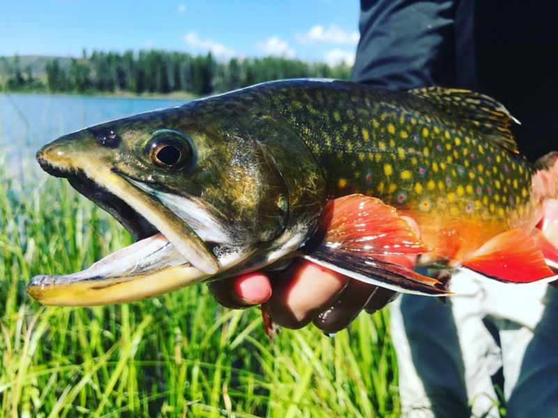 Falcon&rsquo;s Ledge, UT -  image number 1