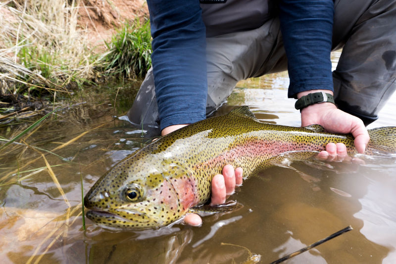 Trout School At Falcon&rsquo;s Ledge, Utah -  image number 4